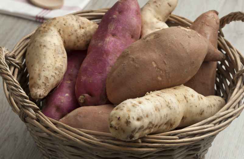 Comment planter les patates douces en pot pour une récolte abondante ?
