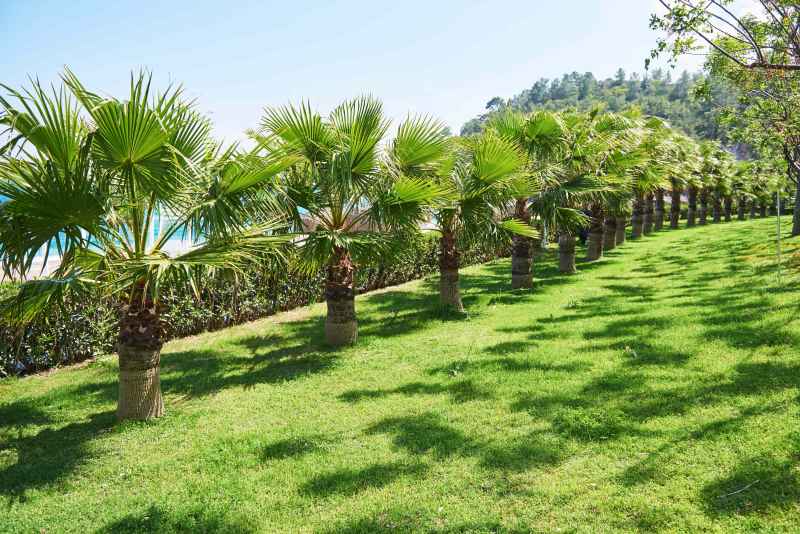 Aménager un jardin en pente : solutions paysagères pour les terrains montagneux du 74 ENOstudio