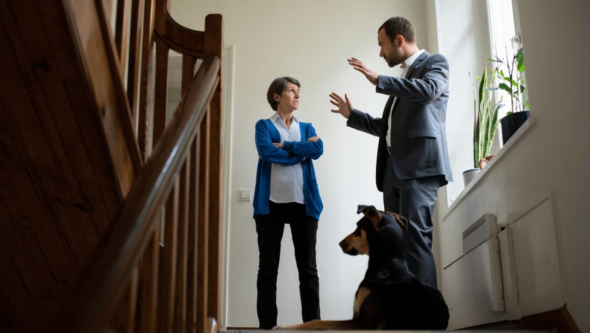 Chiens et nuisances sonores en location : comment agir ?