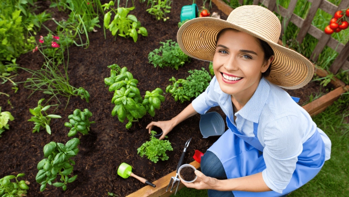 Mature in-ground garden