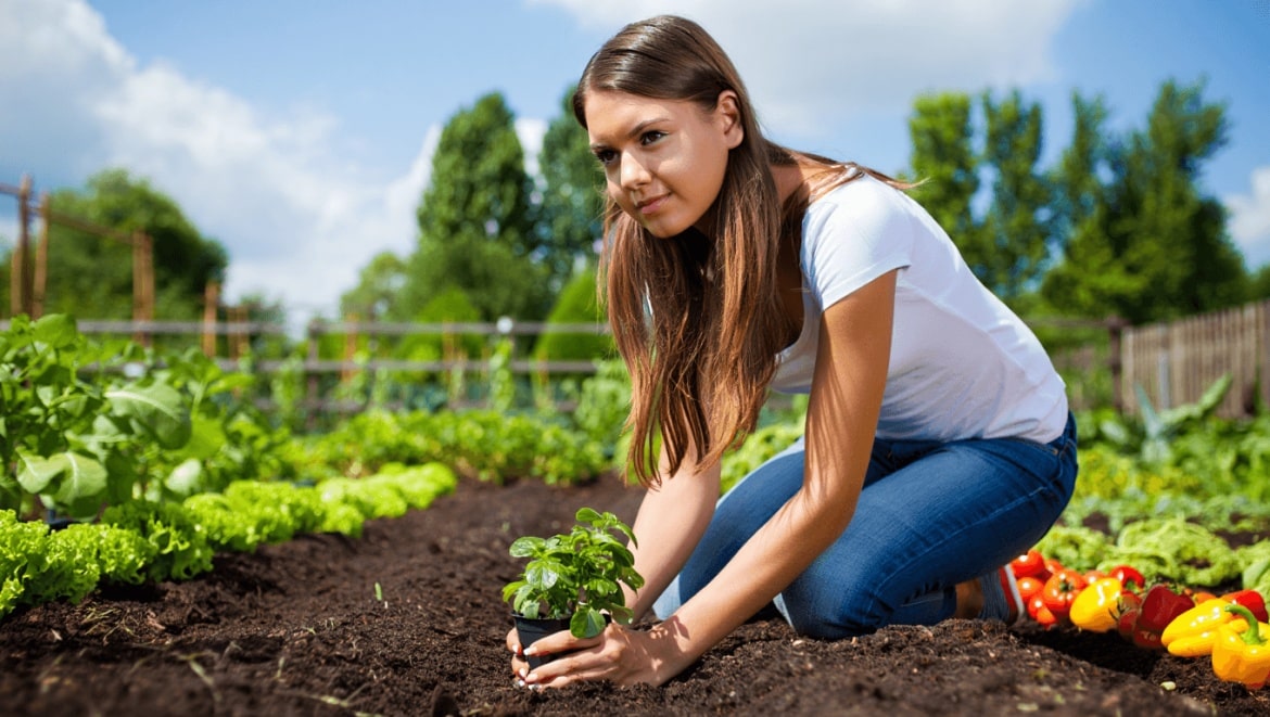 How to Plant a Garden: child planting in raised bed