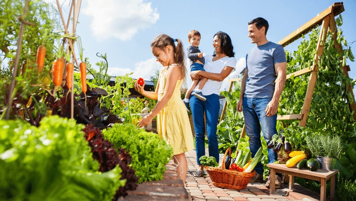 Bonnie Plants Victory Garden
