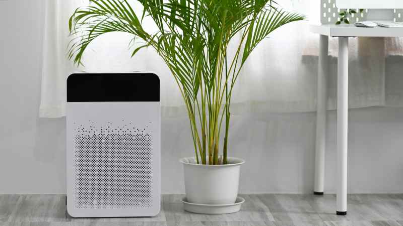 Choisir le déshumidificateur adapté à ses besoins ENOstudio