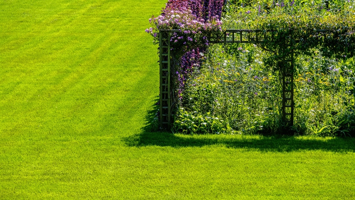 A Trellis Might Be the Most Transformative Thing You Add to Your Garden This Year