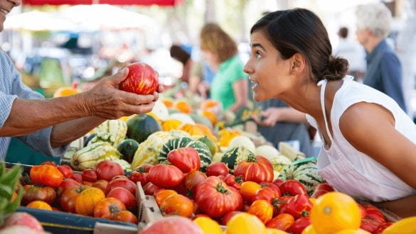 Are Heirloom Vegetables Better: mix of harvested vegetables
