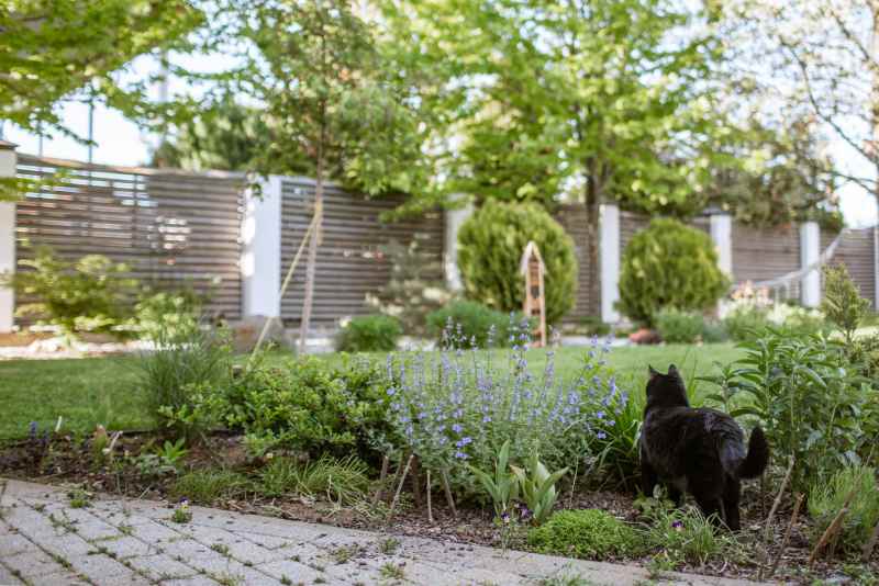 Comment choisir un studio de jardin qui vous convient ? ENOstudio