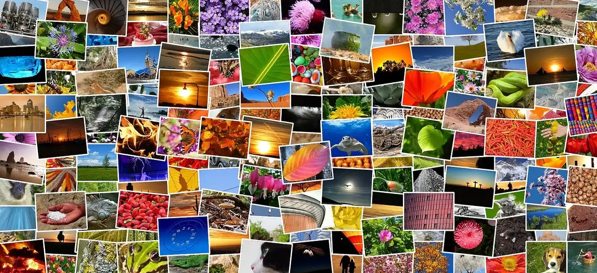 Mur avec plusieurs petits cadres sobres et images contrastées